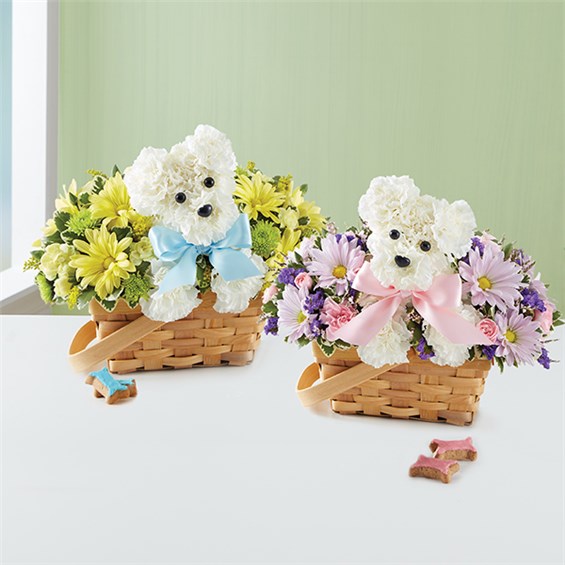 1800 flowers new baby