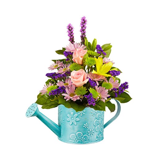 Gift Shop & Florist in Iowa City 1800Flowers Flowerama Iowa City