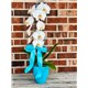 BABY_BOY_ORCHID.jpg2