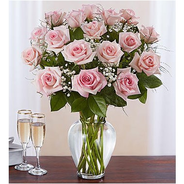 18-pink-roses-in-a-vase-by-flowerama