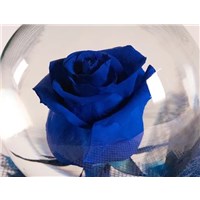 Deep_Blue_Flower_Globe