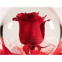 Deep_Red_Rose_Flower_Globe