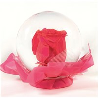 Hot_Pink_Flower_Globe