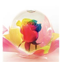 Rainbow_Flower_Globe
