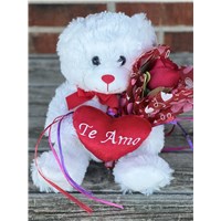 Te_Amo_Bear