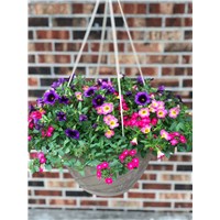 premium-combo-hanging-basket-compressed