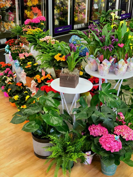 Spring_Cleaning_Blog_1