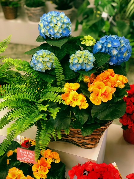 Spring_Cleaning_Blog_2