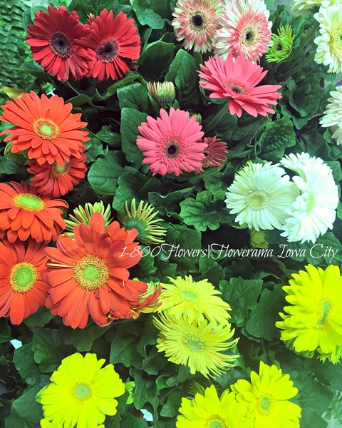cant_wait_for_spring_sunshine