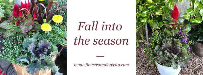 fall_pots
