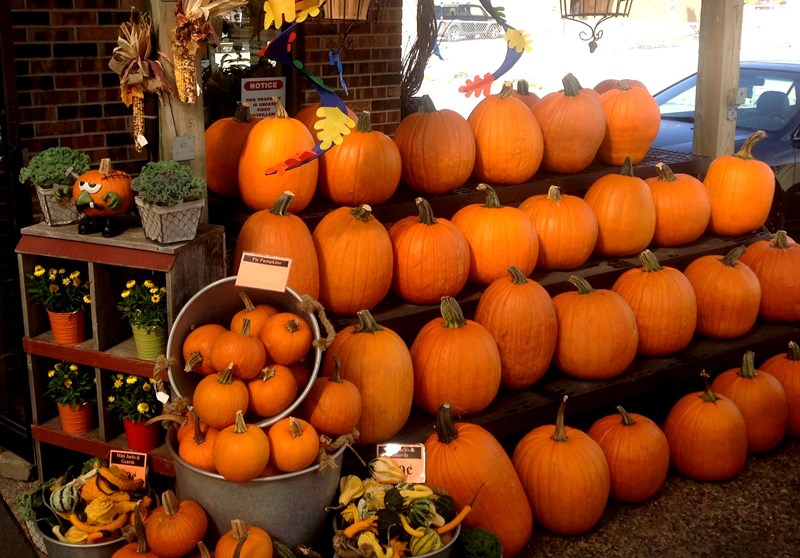 harvest_hoedown2